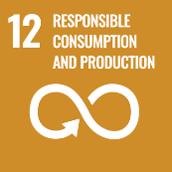 SDGs12